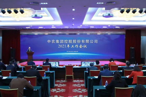 聚光成炬，照亮高質量發展之路——中農控股2021年工作會議暨企業管理咨詢新航向