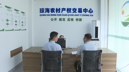 瓊海市農(nóng)村產(chǎn)權(quán)交易服務(wù)中心揭牌成立，控股公司助力鄉(xiāng)村振興